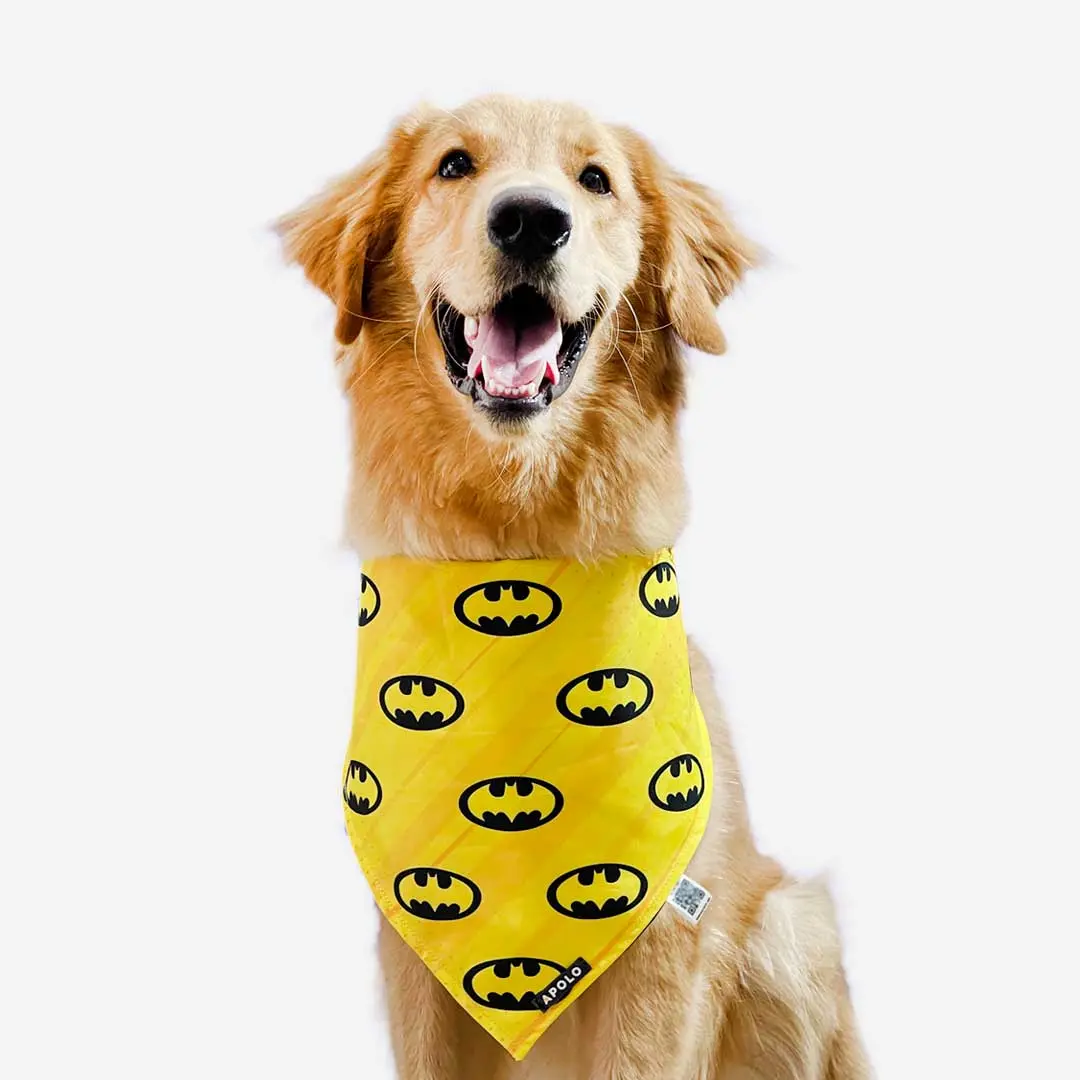 Pañoleta para mascotas Batman - Pañoletas Apolo